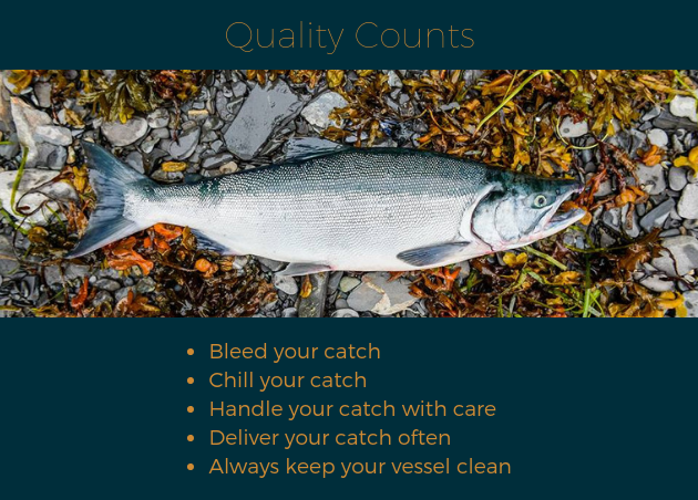 Salmon on rocks with bulleted list of maintaining quality salmon