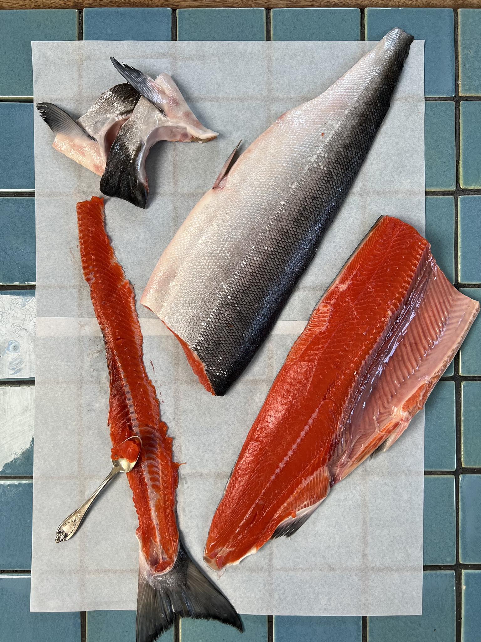 Salmon held up on counter for preparation
