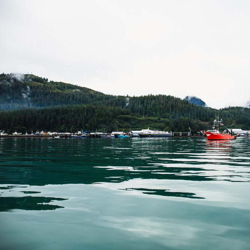 Fisherman holding a wild salmon